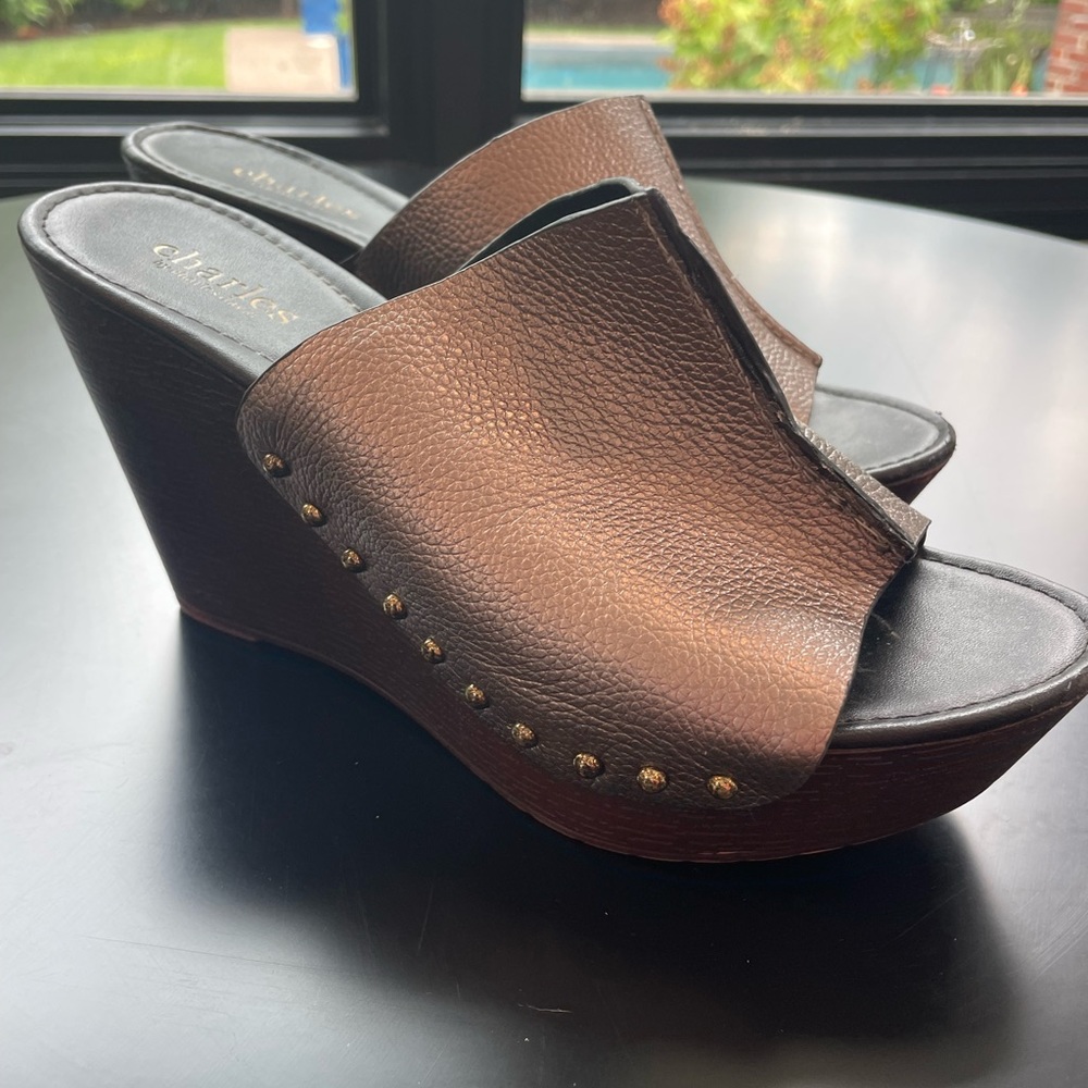 Charles David slip on wedge